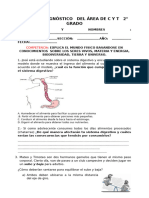 2º Prueba Diagnostica Cyt