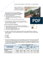 4° Prueba Diagnóstica Cyt