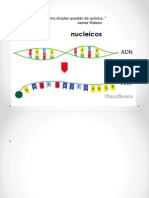 2 Ácidos Nucleicos 21 22-APC-PS