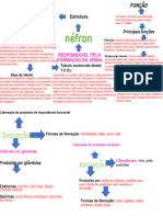 Trabalho de Urianalise