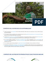 Estrategia de Sostenibilidad: Apoyo A La Reincorporación Socio Económica para La Sostenibilidad