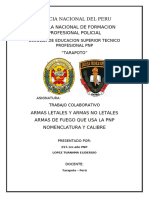 Armas Letales y Medios de Policia Directiva 015 2022