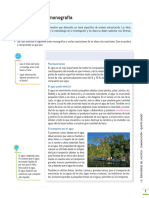 S5 - La Monografía - 5° - 2024