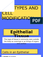 Mitosis Science Presentation in Blue Yellow Flat Graphic Style