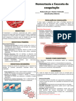 Parte 2 - Fisiopatologia