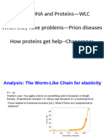 FA14 LEC11WLC ProteinFolding Amyloids Chaperones093014 Final