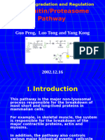 Ubiquitin/Proteasome Pathway: Guo Peng, Luo Tong and Yang Kong