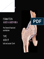 09.arthrology 4