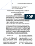 Cuestionario de Pánico Y Agorafobia (Cpa) : Características de Los Ataques de Pánico No Clínicos