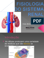 Aula 4 Fisiologia Renal