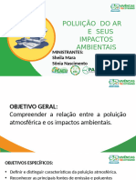 Poluição Do Ar 02