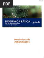 Bioquímica Básica: Metabolismo de Carboidratos