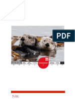 Sea Otter Factsheet 29 07 2011