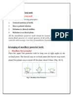 Arrangment of Posterior Teeth