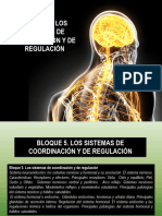 Anatomía Aplicada 5 Sistemas de Regulación y Coordinación