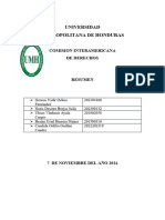 Resumen Comision Interamericana de Derecho