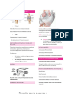 Resumo-Articulação Do Joelho