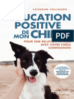 Léducation Positive de Mon Chien