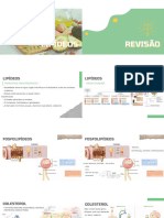 Aula Teórica 4 - Gorduras Na Nutrição Do Adulto