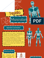 Tejido Muscular