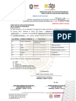 Formato Cya-Cct 2024-2025