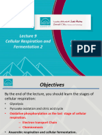 BIOL 101 Lecture 9 Cellular Respiration and Fermentation 2