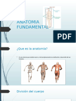 Anatomia Fundamental