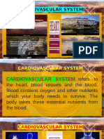 NCF Cardiovascular System