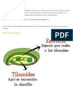 Biología 3