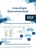 Mod 4 Gastro