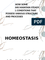 Homeostasis Report