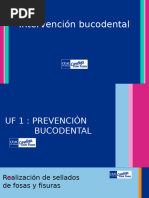 INTERVENCION BUCODENTAL Realizacion de Sellados de Fosas y Fisuras 2024-20025