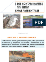 Efectos de Los Contaminantes - Problemas Ambientales