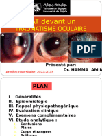 Traumatisme Oculaire