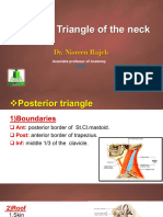 6 - Posterior Triangle of The Neck - 2021