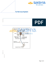 Nervous System Class 10 ICSE Notes