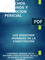 Unidad 4 Derechos Humanos y Actuacion Pericial