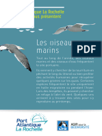 Les Oiseaux Marins 061488700 1701 03082018