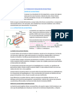 Tema 2 Tecnicas de Visualizacion de Bacterias