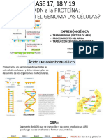 Clase 18 - Transcripción - Procesamiento de Arn