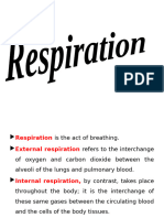 Respiration