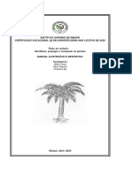 Apontamento de Apoio Morfologia Da Planta - R C F F F