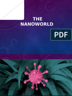 The Nanoworld STS 1