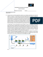 Examén Semestral - 2024-1IE251 - A1