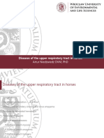 Diseases of The Upper Respiratory Tract in Horses V Rok-Merged