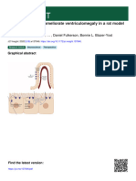 4 TRPV4 Antagonists Ameliorate Ventriculomegaly in A Rat Model