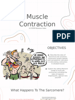 15.10 Muscle Contraction