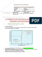 Hybridation Et Sondes