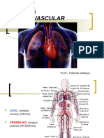 Sistema Cardiovascular - Final