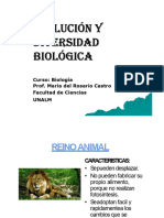 Diversidad - Animalia